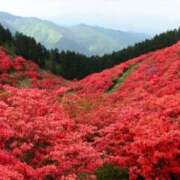 ヒメ日記 2025/04/25 17:05 投稿 星川　美貴 30代40代50代と遊ぶなら博多人妻専科24時