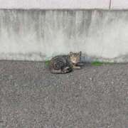 ヒメ日記 2025/04/30 00:47 投稿 星川　美貴 30代40代50代と遊ぶなら博多人妻専科24時