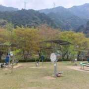 ヒメ日記 2025/04/30 17:49 投稿 星川　美貴 30代40代50代と遊ぶなら博多人妻専科24時