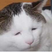 ヒメ日記 2025/05/04 15:37 投稿 星川　美貴 30代40代50代と遊ぶなら博多人妻専科24時