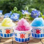 ヒメ日記 2025/06/27 14:41 投稿 星川　美貴 30代40代50代と遊ぶなら博多人妻専科24時