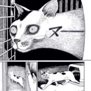 ヒメ日記 2025/06/28 19:03 投稿 星川　美貴 30代40代50代と遊ぶなら博多人妻専科24時