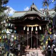 ヒメ日記 2025/07/06 18:39 投稿 星川　美貴 30代40代50代と遊ぶなら博多人妻専科24時