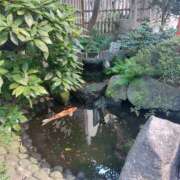 ヒメ日記 2025/07/24 19:36 投稿 星川　美貴 30代40代50代と遊ぶなら博多人妻専科24時