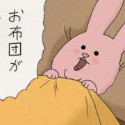 ヒメ日記 2025/08/14 14:15 投稿 星川　美貴 30代40代50代と遊ぶなら博多人妻専科24時