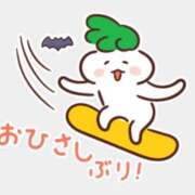 ヒメ日記 2025/09/11 10:19 投稿 星川　美貴 30代40代50代と遊ぶなら博多人妻専科24時