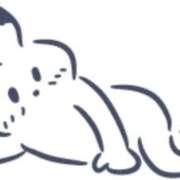 ヒメ日記 2025/09/14 18:39 投稿 星川　美貴 30代40代50代と遊ぶなら博多人妻専科24時