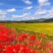 ヒメ日記 2025/10/07 13:59 投稿 星川　美貴 30代40代50代と遊ぶなら博多人妻専科24時