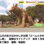 ヒメ日記 2025/11/03 20:24 投稿 星川　美貴 30代40代50代と遊ぶなら博多人妻専科24時