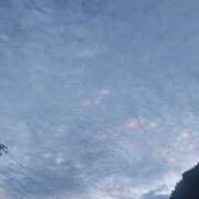 ヒメ日記 2025/11/11 12:31 投稿 星川　美貴 30代40代50代と遊ぶなら博多人妻専科24時