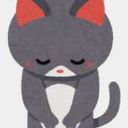 ヒメ日記 2025/12/04 19:32 投稿 星川　美貴 30代40代50代と遊ぶなら博多人妻専科24時