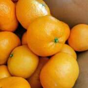 ヒメ日記 2025/12/19 15:18 投稿 星川　美貴 30代40代50代と遊ぶなら博多人妻専科24時