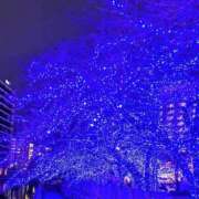 ヒメ日記 2025/12/23 01:09 投稿 星川　美貴 30代40代50代と遊ぶなら博多人妻専科24時