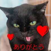 ヒメ日記 2025/12/31 20:07 投稿 星川　美貴 30代40代50代と遊ぶなら博多人妻専科24時