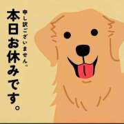 ヒメ日記 2026/01/26 15:14 投稿 星川　美貴 30代40代50代と遊ぶなら博多人妻専科24時
