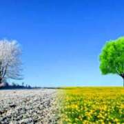 星川　美貴 出勤予定です 30代40代50代と遊ぶなら博多人妻専科24時