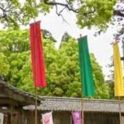 ヒメ日記 2026/04/22 19:23 投稿 星川　美貴 30代40代50代と遊ぶなら博多人妻専科24時