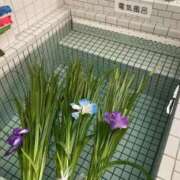 ヒメ日記 2026/05/09 23:10 投稿 星川　美貴 30代40代50代と遊ぶなら博多人妻専科24時