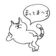 ヒメ日記 2024/11/20 09:21 投稿 田辺 ちか 30代40代50代と遊ぶなら博多人妻専科24時