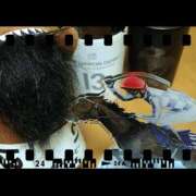 ヒメ日記 2024/12/22 09:01 投稿 田辺 ちか 30代40代50代と遊ぶなら博多人妻専科24時