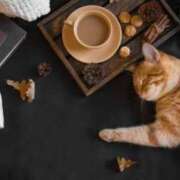 ヒメ日記 2025/01/18 09:13 投稿 田辺 ちか 30代40代50代と遊ぶなら博多人妻専科24時