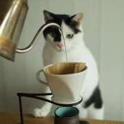 ヒメ日記 2025/01/23 09:37 投稿 田辺 ちか 30代40代50代と遊ぶなら博多人妻専科24時