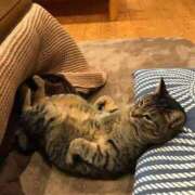 ヒメ日記 2025/03/08 09:04 投稿 田辺 ちか 30代40代50代と遊ぶなら博多人妻専科24時