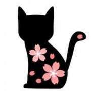 ヒメ日記 2025/03/12 10:17 投稿 田辺 ちか 30代40代50代と遊ぶなら博多人妻専科24時