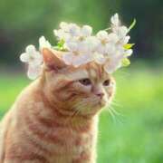 ヒメ日記 2025/03/23 10:43 投稿 田辺 ちか 30代40代50代と遊ぶなら博多人妻専科24時