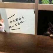 ヒメ日記 2025/04/14 09:39 投稿 田辺 ちか 30代40代50代と遊ぶなら博多人妻専科24時