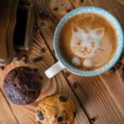 ヒメ日記 2025/04/24 09:31 投稿 田辺 ちか 30代40代50代と遊ぶなら博多人妻専科24時