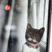 ヒメ日記 2025/04/28 09:08 投稿 田辺 ちか 30代40代50代と遊ぶなら博多人妻専科24時