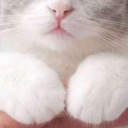 ヒメ日記 2025/04/29 09:33 投稿 田辺 ちか 30代40代50代と遊ぶなら博多人妻専科24時