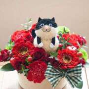 ヒメ日記 2025/05/11 09:45 投稿 田辺 ちか 30代40代50代と遊ぶなら博多人妻専科24時