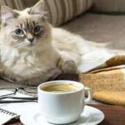 ヒメ日記 2025/05/29 08:53 投稿 田辺 ちか 30代40代50代と遊ぶなら博多人妻専科24時