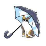 ヒメ日記 2025/06/03 09:08 投稿 田辺 ちか 30代40代50代と遊ぶなら博多人妻専科24時