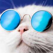 ヒメ日記 2025/06/30 09:39 投稿 田辺 ちか 30代40代50代と遊ぶなら博多人妻専科24時