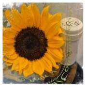 ヒメ日記 2025/07/03 15:34 投稿 田辺 ちか 30代40代50代と遊ぶなら博多人妻専科24時