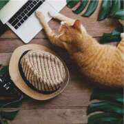 ヒメ日記 2025/07/08 09:17 投稿 田辺 ちか 30代40代50代と遊ぶなら博多人妻専科24時