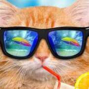 ヒメ日記 2025/08/02 10:49 投稿 田辺 ちか 30代40代50代と遊ぶなら博多人妻専科24時