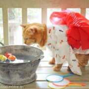 ヒメ日記 2025/08/10 17:45 投稿 田辺 ちか 30代40代50代と遊ぶなら博多人妻専科24時