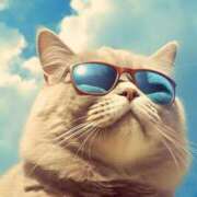 ヒメ日記 2025/08/18 09:50 投稿 田辺 ちか 30代40代50代と遊ぶなら博多人妻専科24時