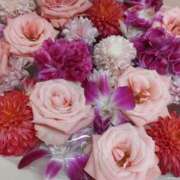 ヒメ日記 2024/12/13 21:04 投稿 戸田 里美 30代40代50代と遊ぶなら博多人妻専科24時