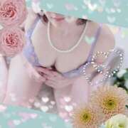 ヒメ日記 2025/03/20 15:53 投稿 戸田 里美 30代40代50代と遊ぶなら博多人妻専科24時