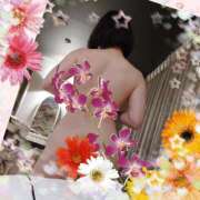 ヒメ日記 2025/08/29 10:00 投稿 戸田 里美 30代40代50代と遊ぶなら博多人妻専科24時