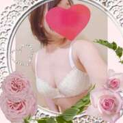 ヒメ日記 2025/10/09 11:00 投稿 戸田 里美 30代40代50代と遊ぶなら博多人妻専科24時