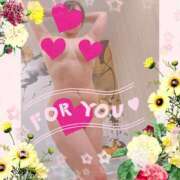 ヒメ日記 2025/11/23 08:01 投稿 戸田 里美 30代40代50代と遊ぶなら博多人妻専科24時