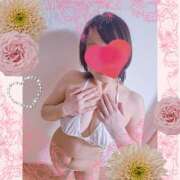 ヒメ日記 2026/02/28 11:05 投稿 戸田 里美 30代40代50代と遊ぶなら博多人妻専科24時