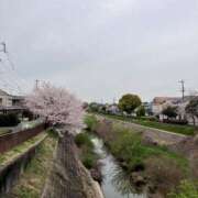 ヒメ日記 2024/04/01 21:10 投稿 まりん 逢って30秒で即尺