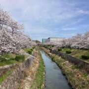 ヒメ日記 2025/04/03 20:27 投稿 まりん 逢って30秒で即尺